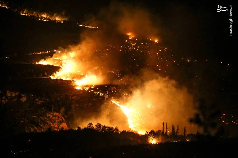 آتش سوزی گسترده جنگلی در هاتای _ ترکیه