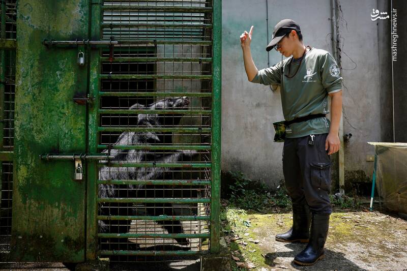 برترین تصاویر حیوانات در سال ۲۰۲۴