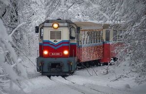 عکس/ قاب زمستانی از قطار تهران-گرگان در خروجی گرمسار