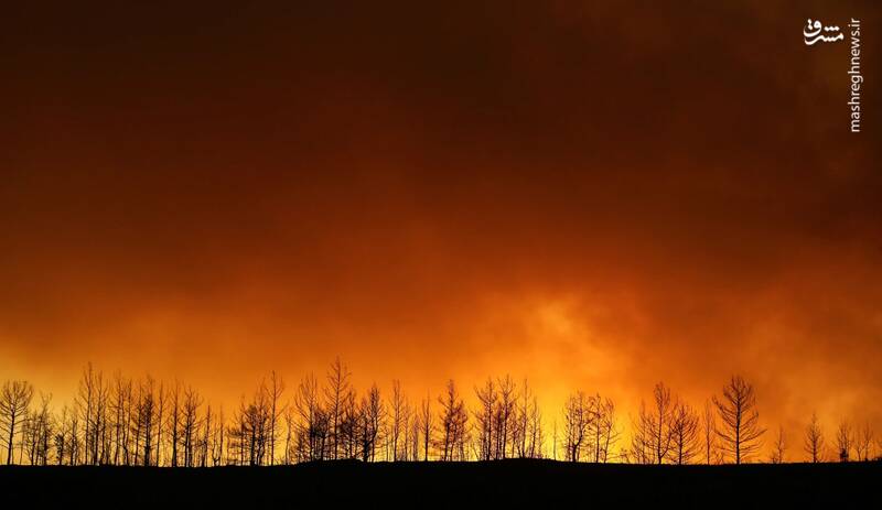زمین در محاصره سیل، خشکسالی و آتش‌سوزی‌های بی‌سابقه/ اروپا و آمریکا در آتش خشم طبیعت می‌سوزند + عکس