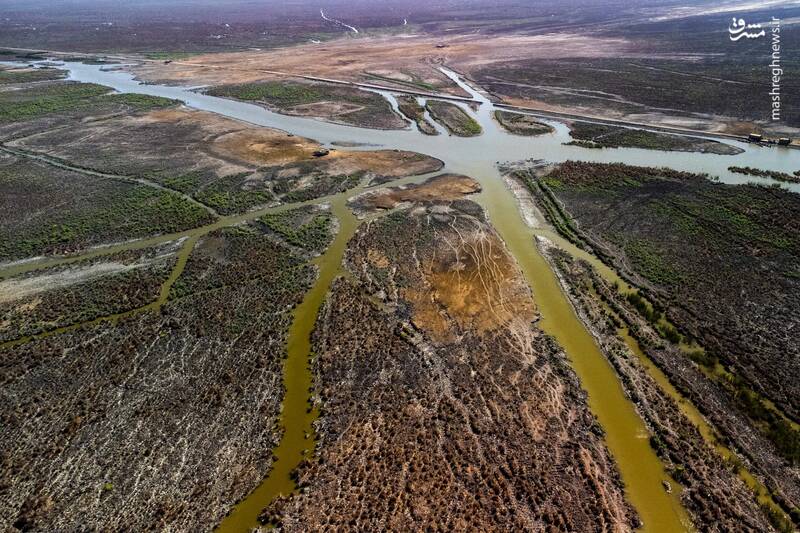 باتلاق های خشک شده در جنوب استان ذی قار _ عراق