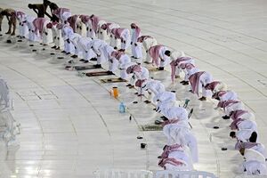 در احوال شکر و شکرگزاری